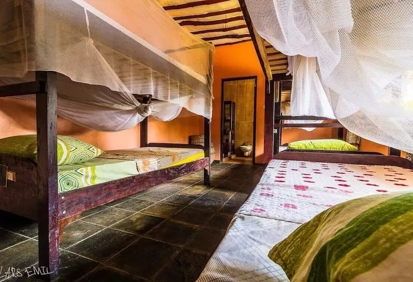 هاستل Diani Backpackers  Adults Only