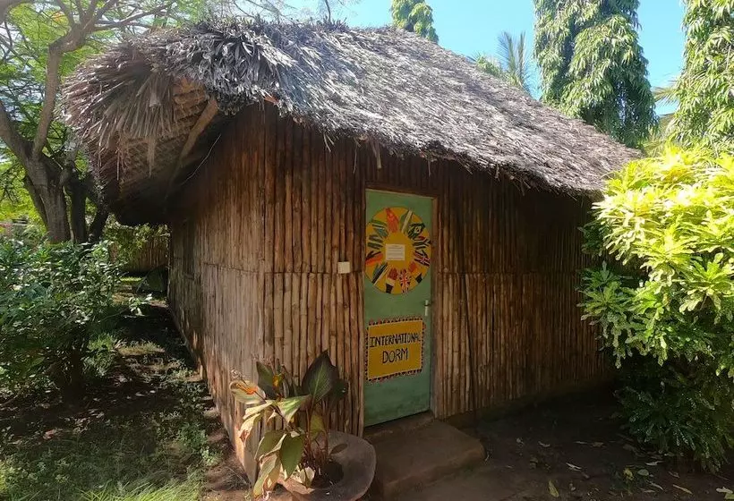 هاستل Diani Backpackers  Adults Only