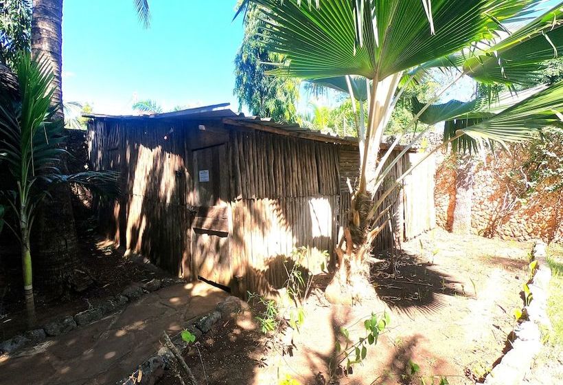 هاستل Diani Backpackers Adults Only