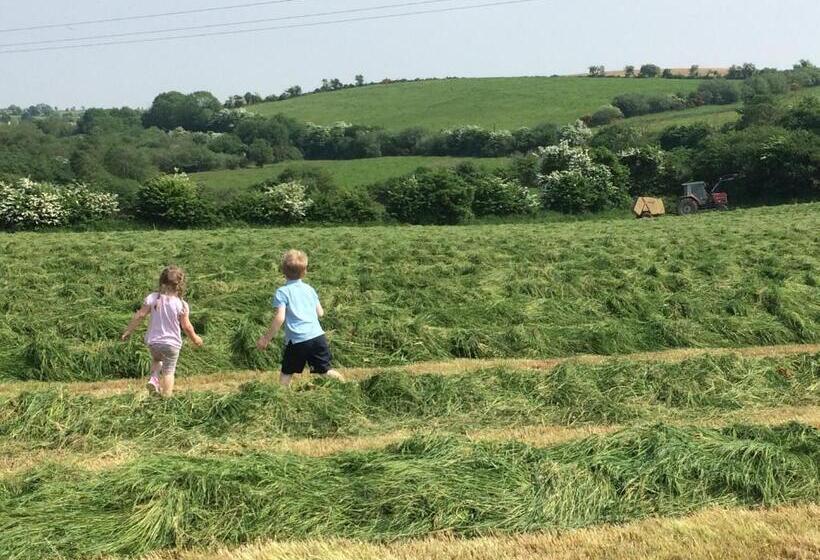 Hotel Grey Gables Farmhouse B&b