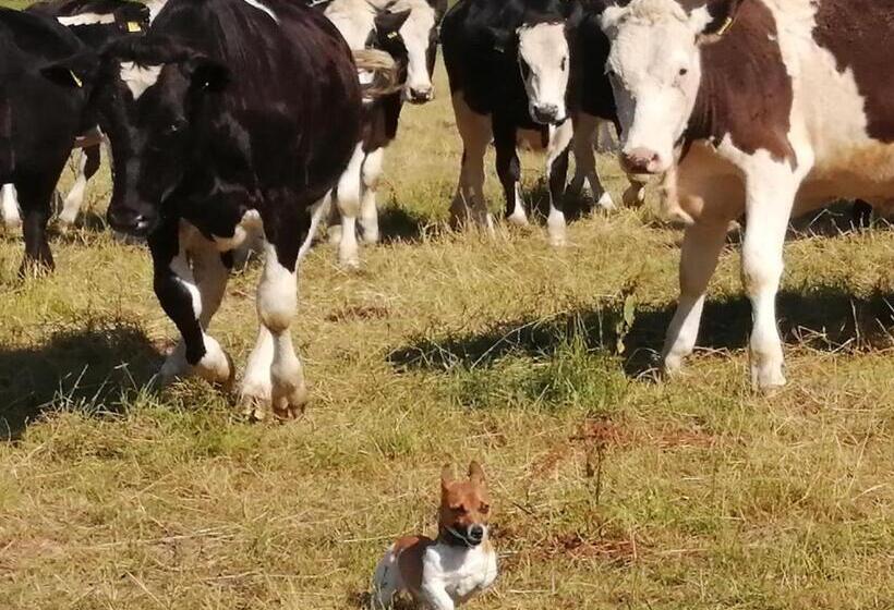 Hotel Grey Gables Farmhouse B&b