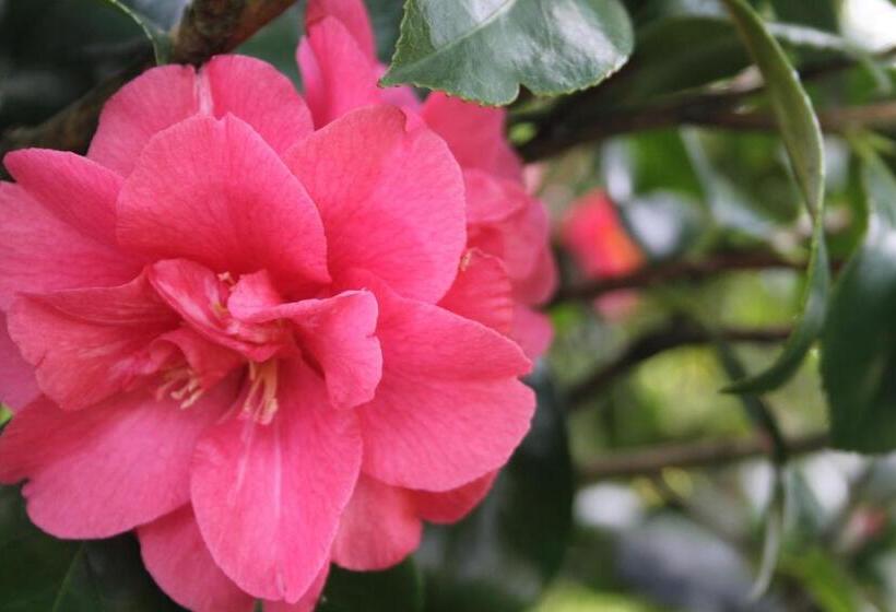 Hotel Grey Gables Farmhouse B&b