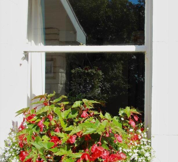 Hotel Grey Gables Farmhouse B&b