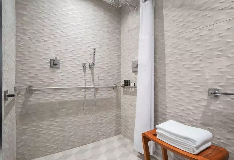 هتل Hyatt Centric Brickell Miami