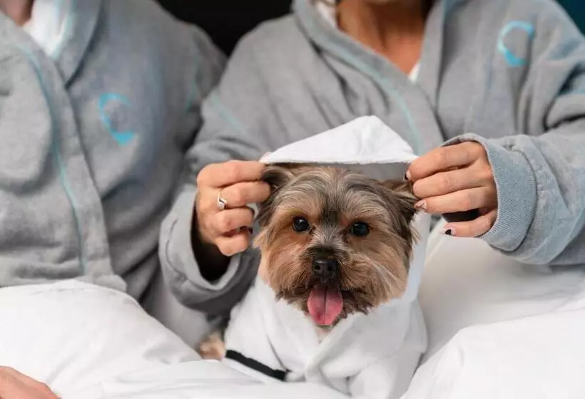 هتل Hyatt Centric Brickell Miami