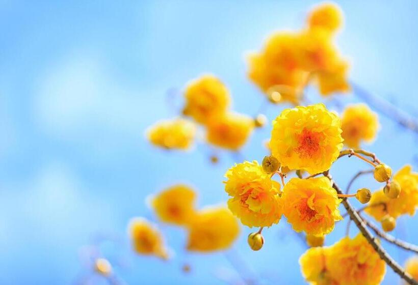 בית מלון כפרי The Series Resort Khaoyai