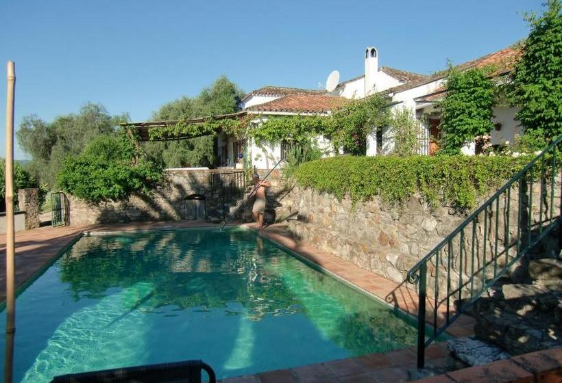 住宿加早餐 El Diplomatico Feo The Ugly Diplomat