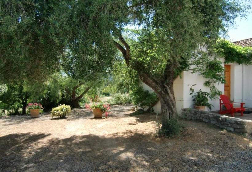 住宿加早餐 El Diplomatico Feo The Ugly Diplomat