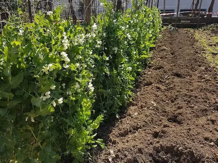 Yourhome   Casa Aristide