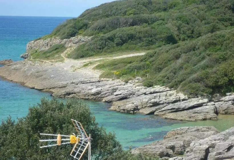 هتل Playa La Arena