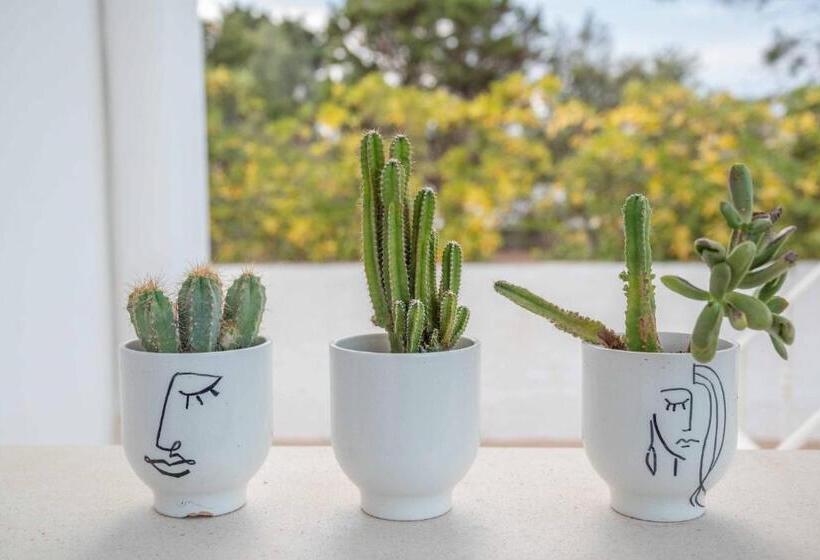 La Caletta Bed And Breakfast