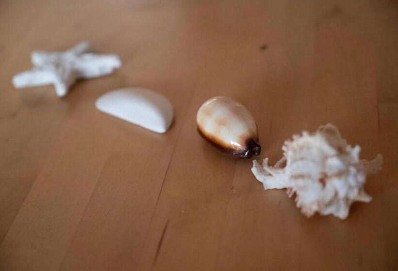 La Caletta Bed And Breakfast