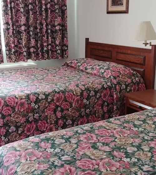 מוטל Martin S Inn