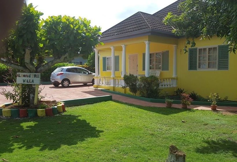 Ocho Rios Almond Tree Villas