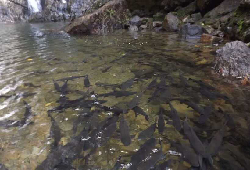 The Canal Villas Khaolak