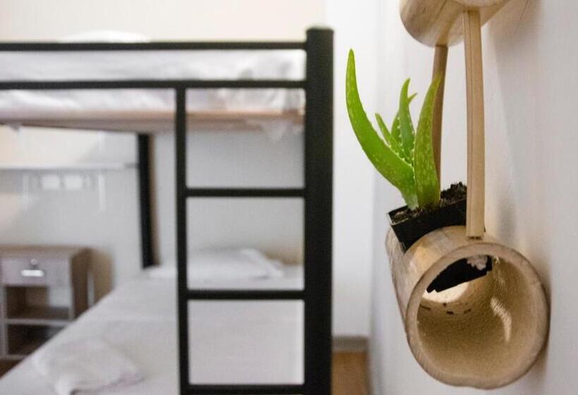 ベッドアンドブレックファースト La Vaina Cali