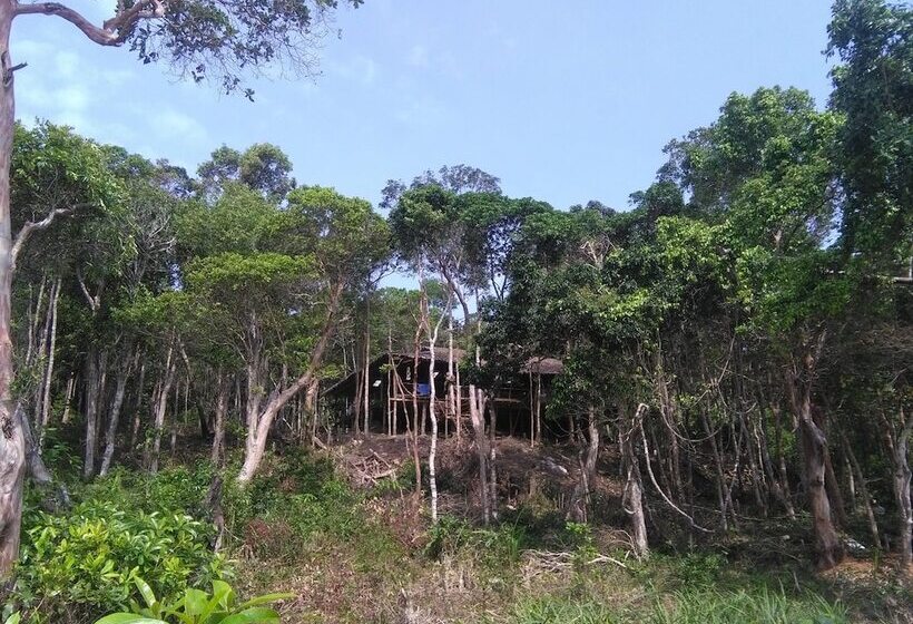 Driftwood Hostel And Bungalows