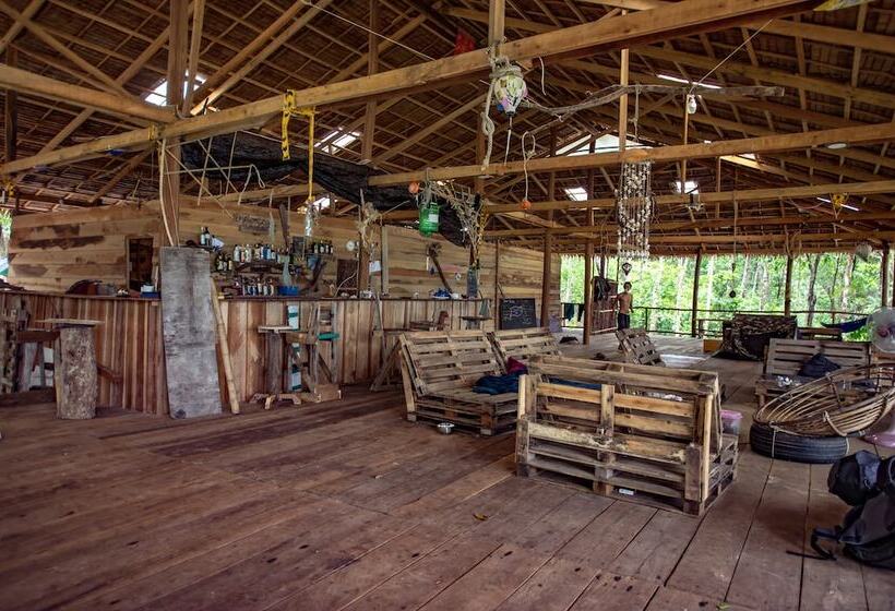 Driftwood Hostel And Bungalows