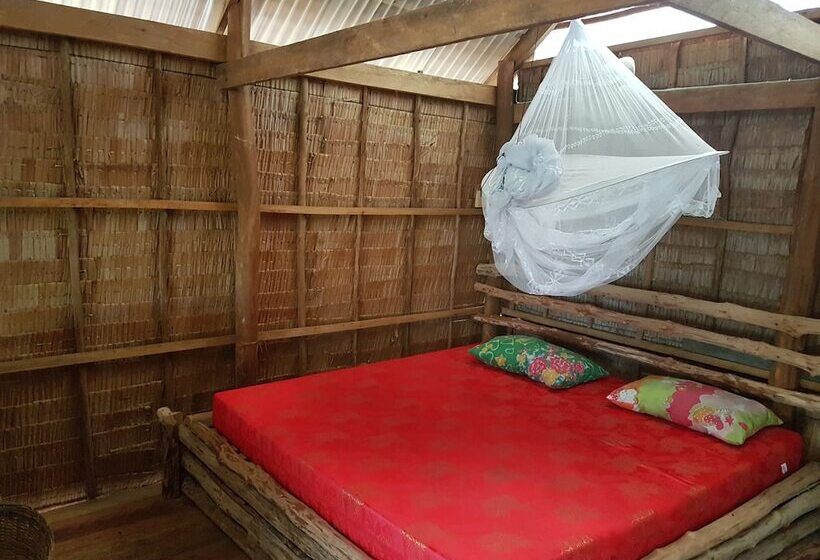 Driftwood Hostel And Bungalows