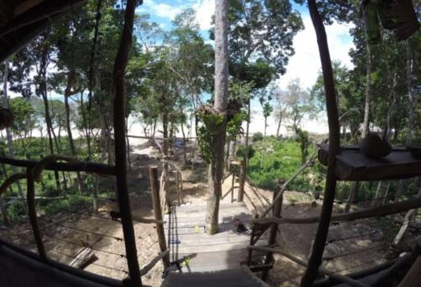 Driftwood Hostel And Bungalows