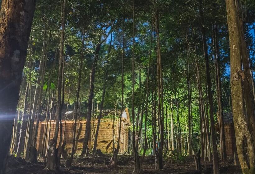 Driftwood Hostel And Bungalows