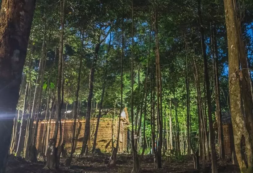 Driftwood Hostel And Bungalows