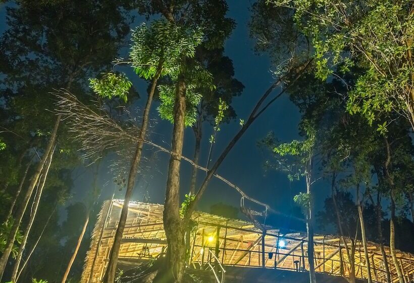 Driftwood Hostel And Bungalows