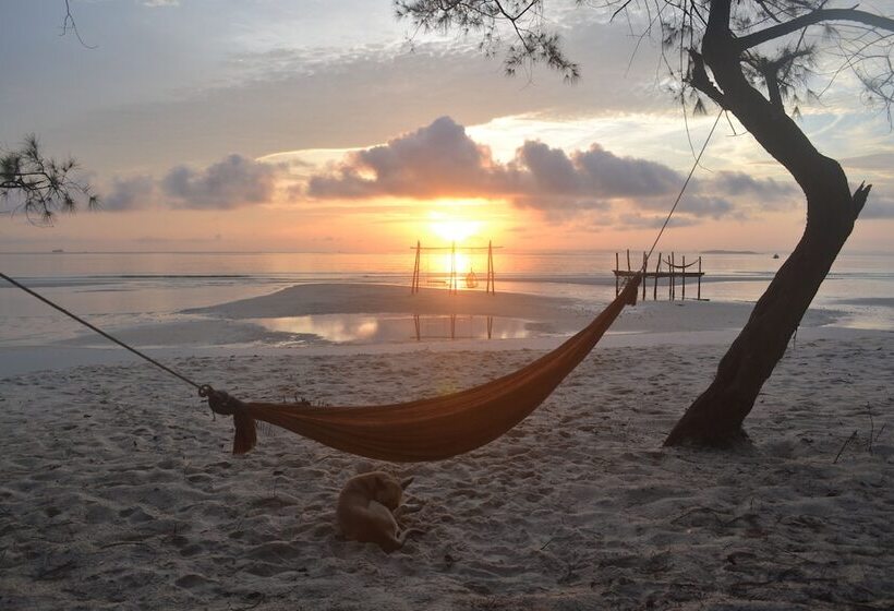 Driftwood Hostel And Bungalows