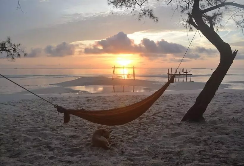 Driftwood Hostel And Bungalows