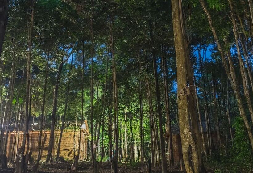 Driftwood Hostel And Bungalows