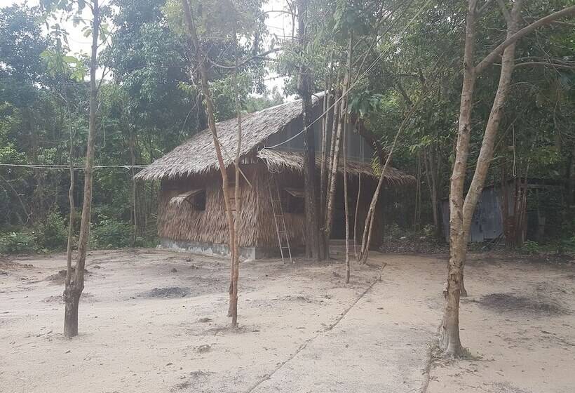 Driftwood Hostel And Bungalows