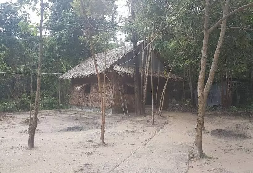 Driftwood Hostel And Bungalows