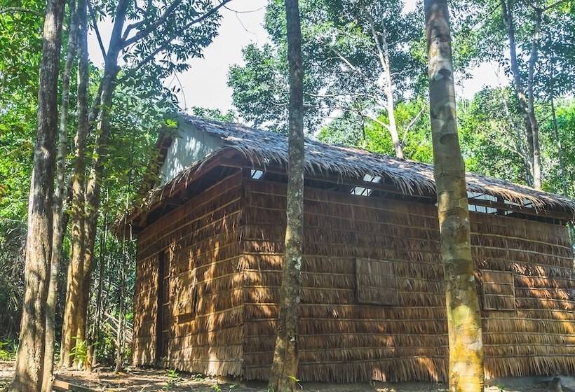 Driftwood Hostel And Bungalows