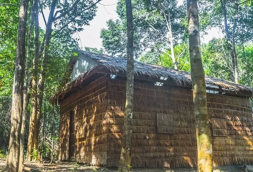 Driftwood Hostel And Bungalows