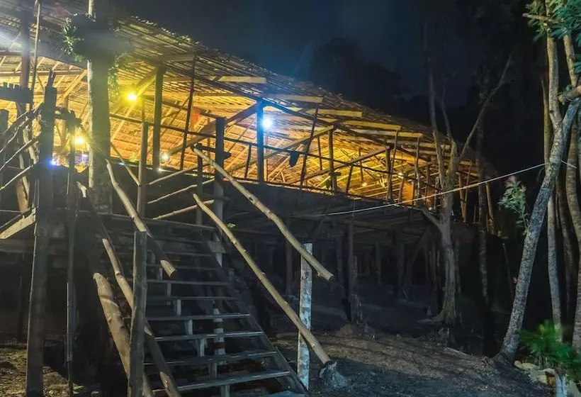 Driftwood Hostel And Bungalows