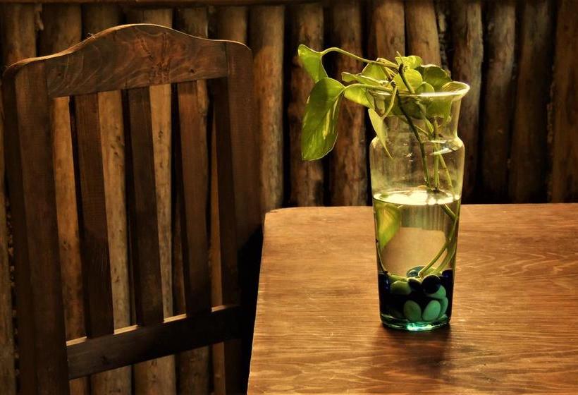 בית מלון כפרי Oten Tulum