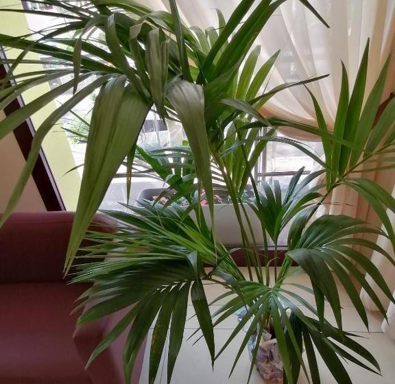 Hotel Abel & Residence