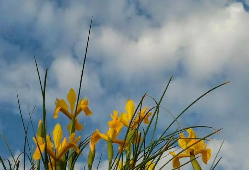 ホテル Apartments And Rooms Vinko