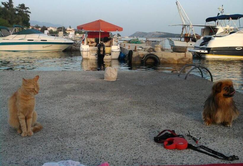 فندق Apartments And Rooms Vinko