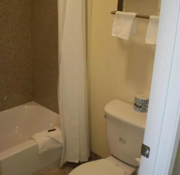 Hotelli Executive Inn Mojave