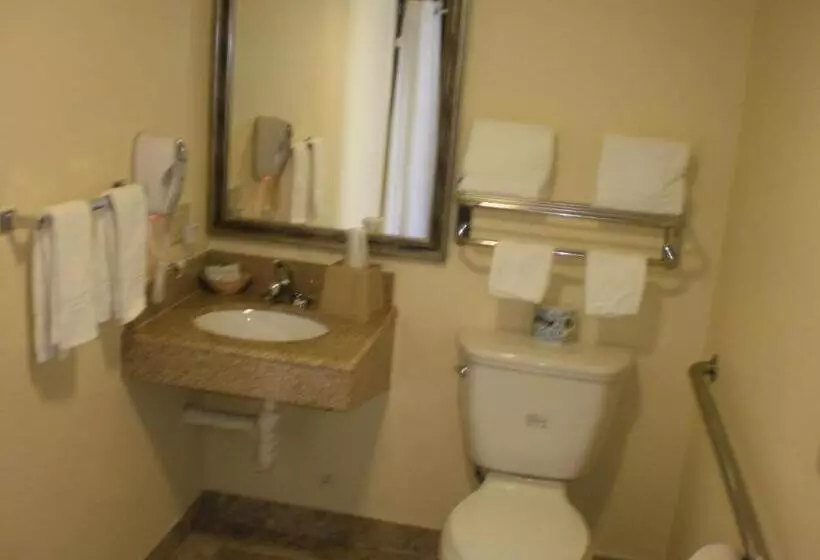 Hotelli Executive Inn Mojave