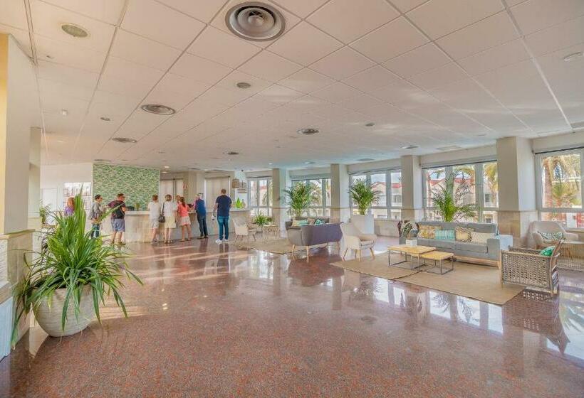 호텔 Livvo Koala Garden