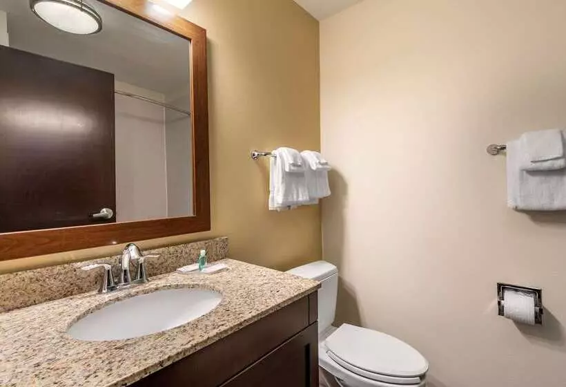 ホテル Mainstay Suites Moab Near Arches National Park