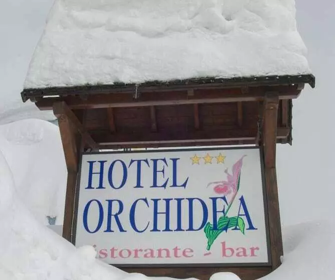 ホテル Orchidea
