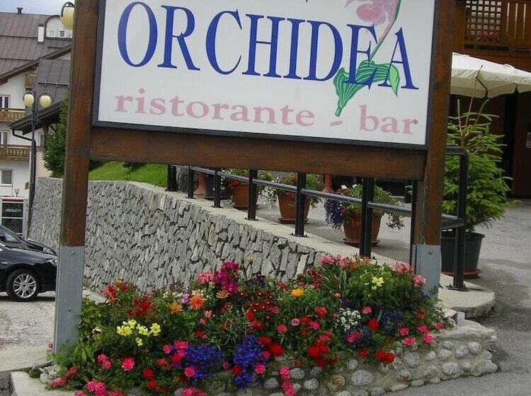 Отель Orchidea