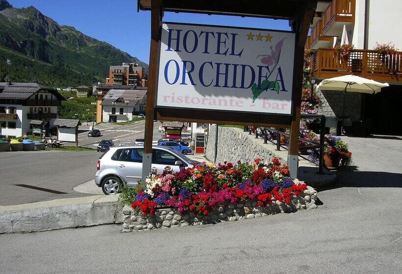Отель Orchidea