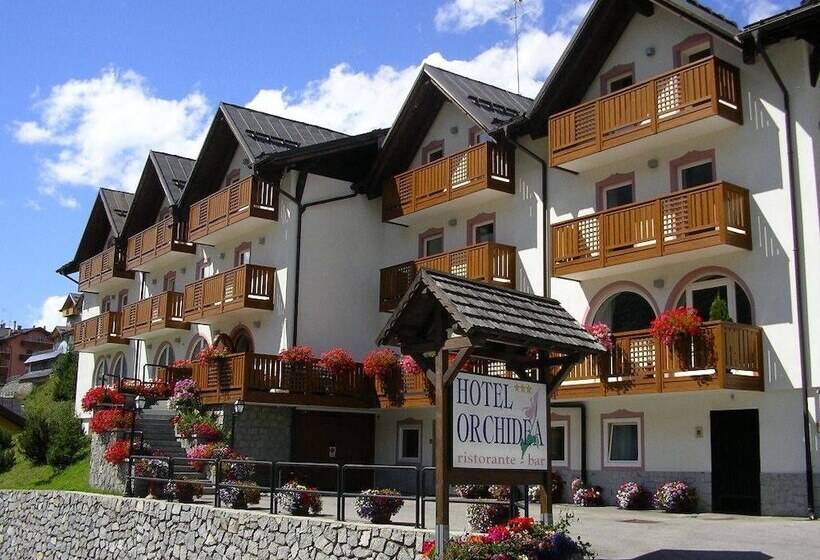 Отель Orchidea