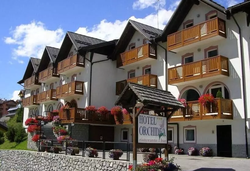 ホテル Orchidea