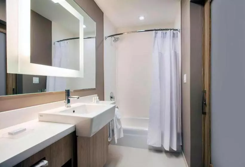 ホテル Springhill Suites By Marriott Miami Doral