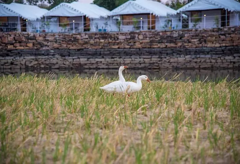 Padmavati Lake Resort